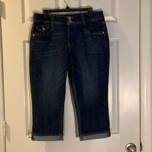 Artisan Crafted Dark Blue Denim Crop Jeans